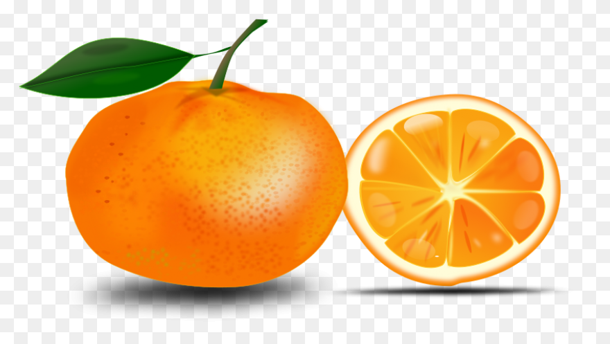 Cropped-Orange-Slice-Copy-5-E146775