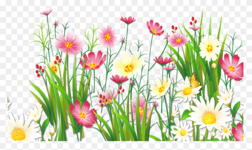 Download Hd Free Ornamental Grass P