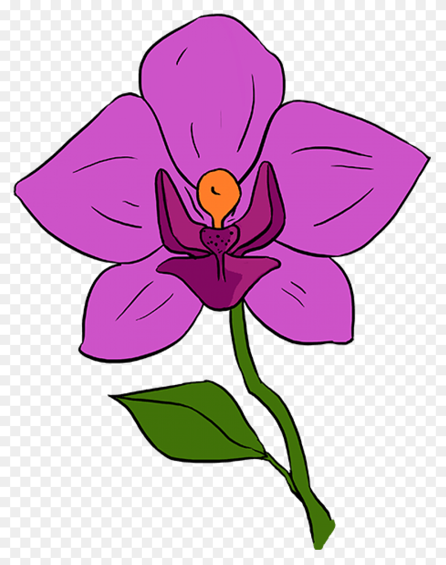 Cymbidium Clip Art At ClipartFlare 