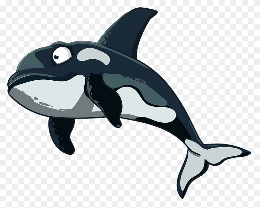 Orca Clipart - Killer Whale - Png D
