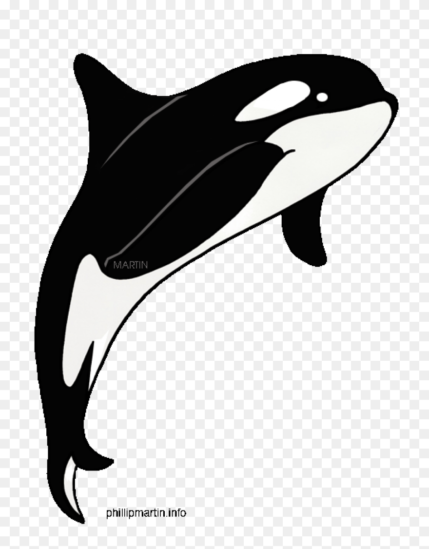 Orca Clipart - Killer Whale - Png D