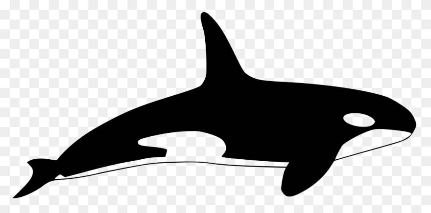 Orca Clipart - Killer Whale - Png D