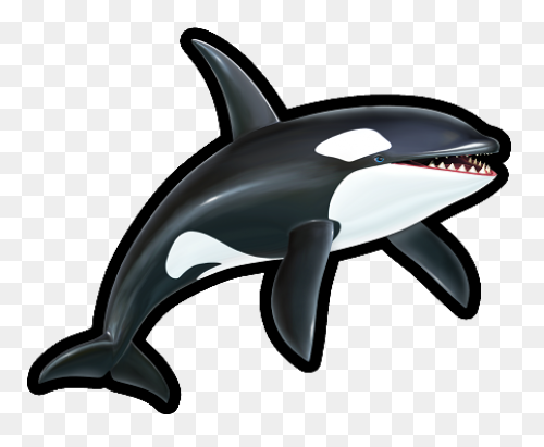 Orca Clipart - Killer Whale - Png D