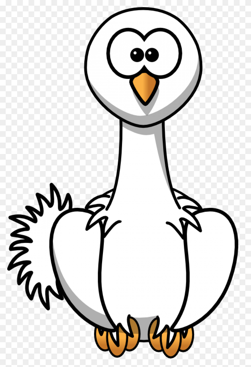Avestruz Beak Animal Bird Flightless - Ostrich