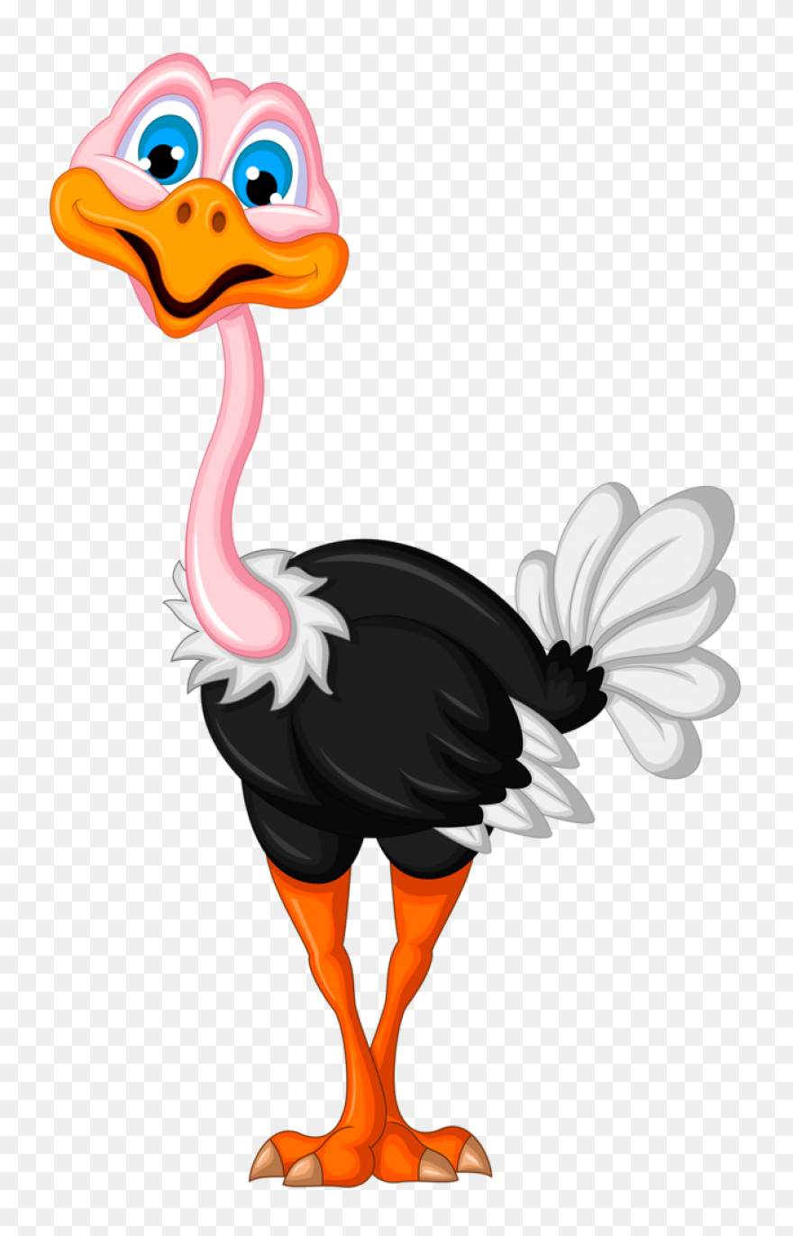 Avestruz, Beak Animal, Bird, Flight
