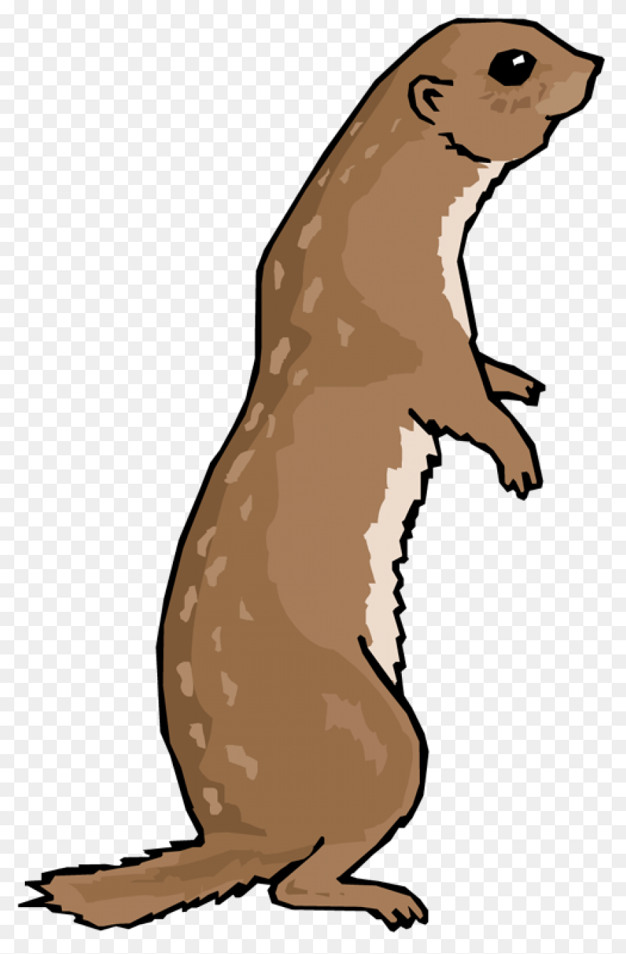 Best Otter Clipart #3725 - ClipartF
