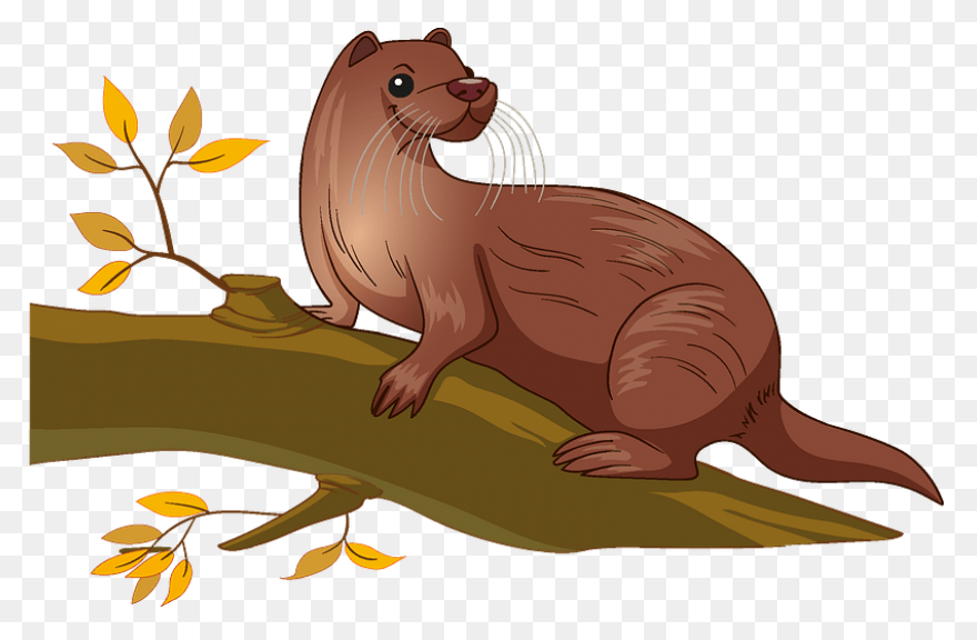 Best Otter Clipart #3725 - ClipartF