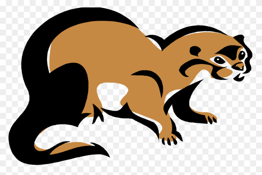 Best Otter Clipart #3725 - ClipartF