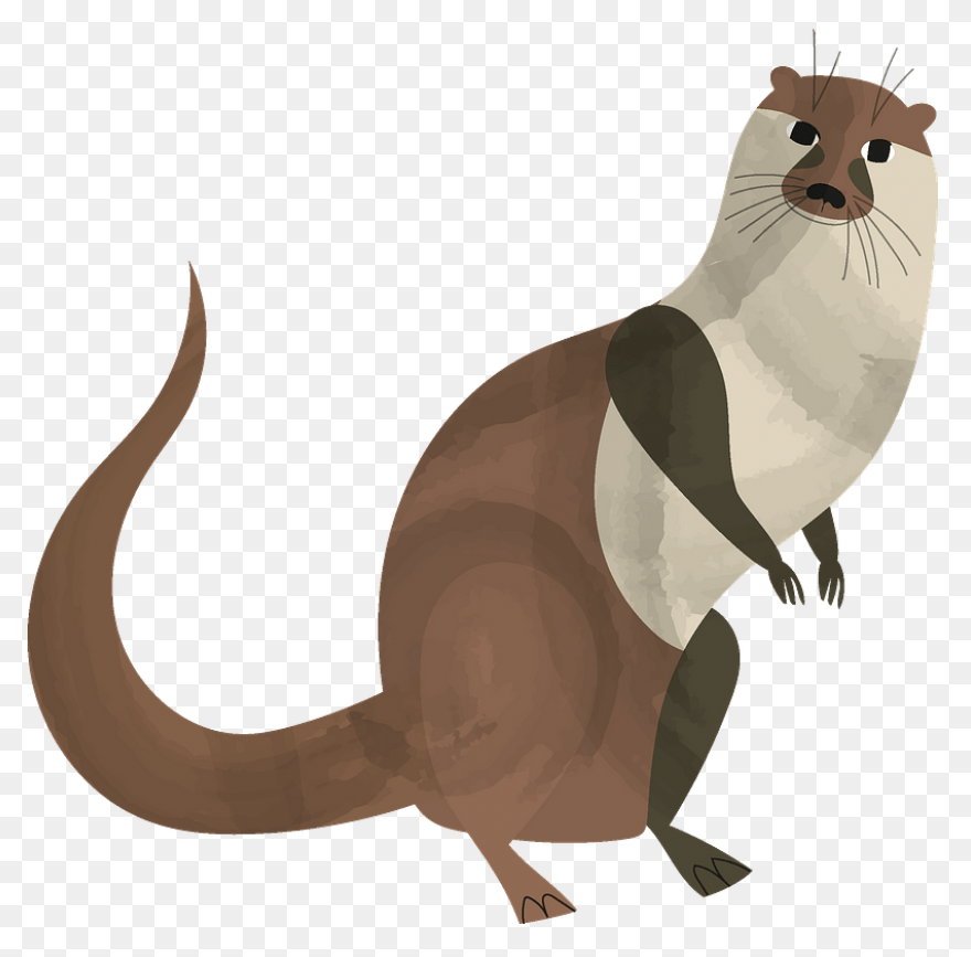 Best Otter Clipart #3725 - ClipartF