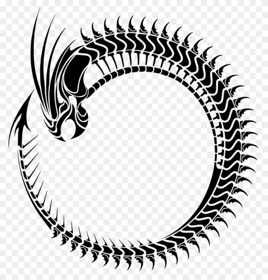 Ouroboros Png - Dragon In A Circle 