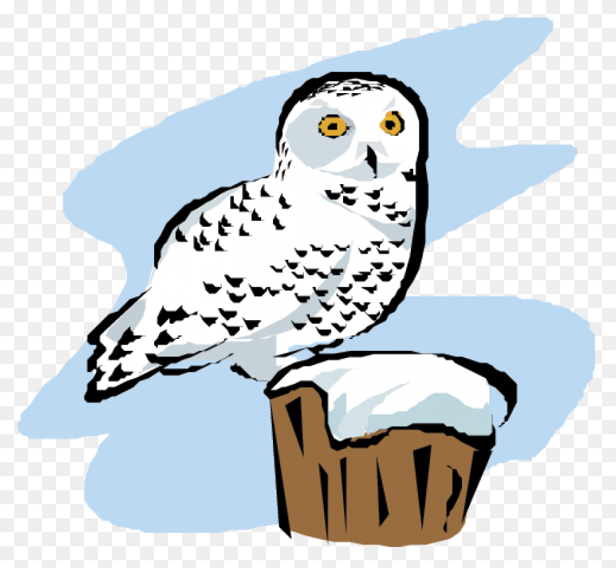 Download Snowy Owl Snowy Owls - Ovo Owl