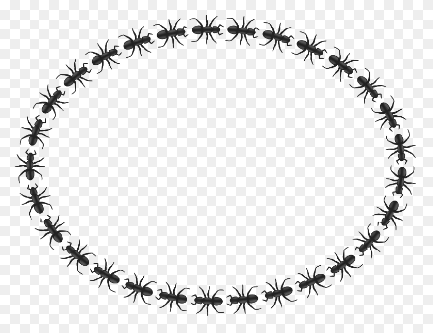 Free Clipart: Ant Border Oval - Oval Border