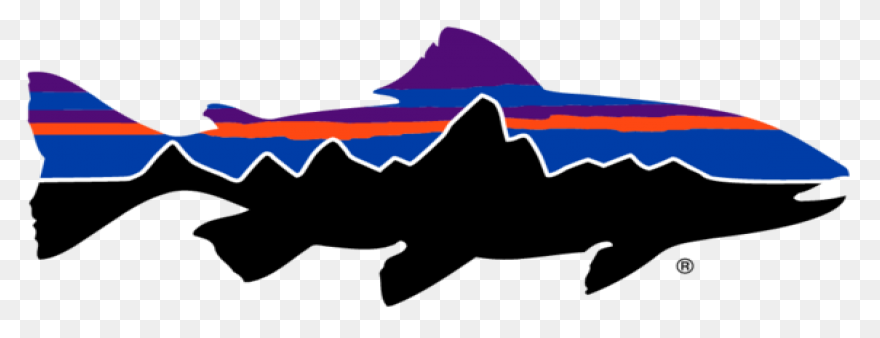 Patagonia Timeline - The History Of