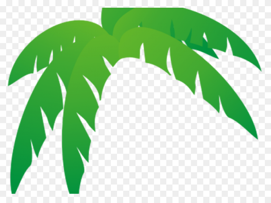 Free Photo Trunk Tall Tropical Tree