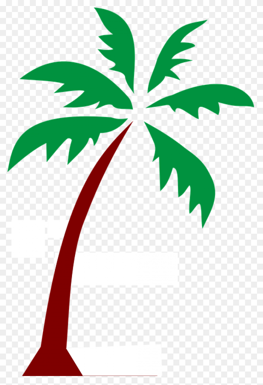 Free Photo Trunk Tall Tropical Tree