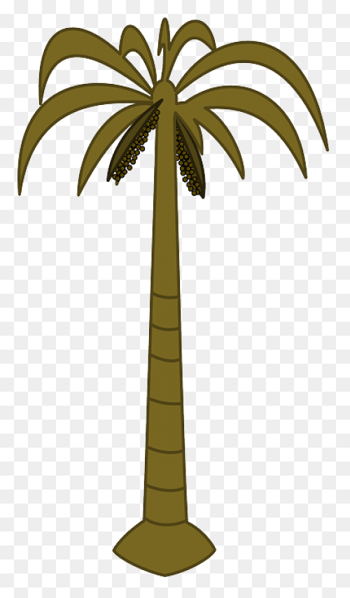 Free Photo Trunk Tall Tropical - Palm Fronds