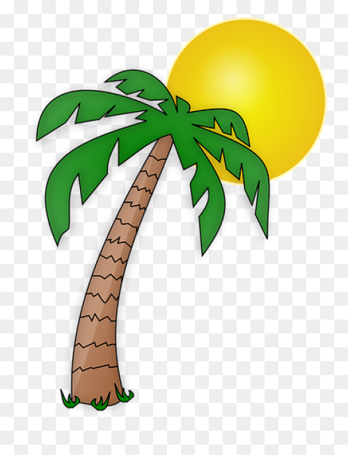Download Vector Palm Trees Clip Art
