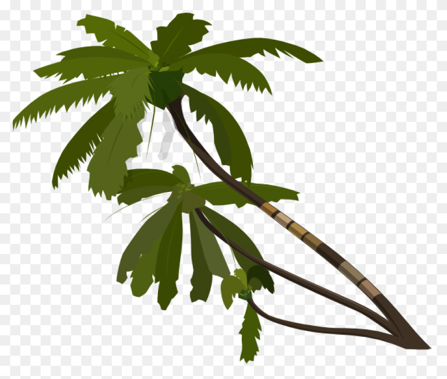 Download Vector Palm Trees Clipart - Palm Tree Vector