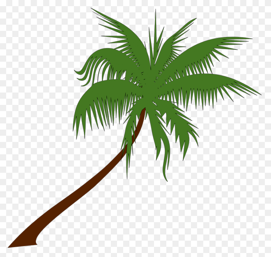 Download Vector Palm Trees Clip Art