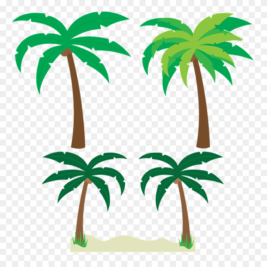 Download Vector Palm Trees Clip Art