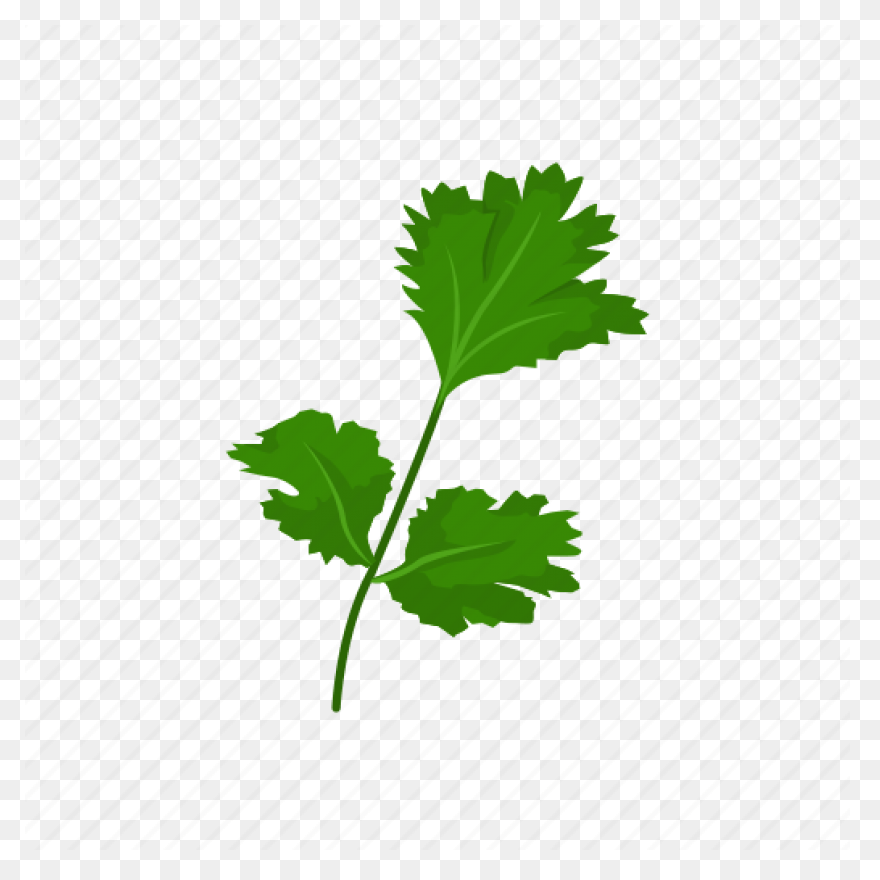 Parsley