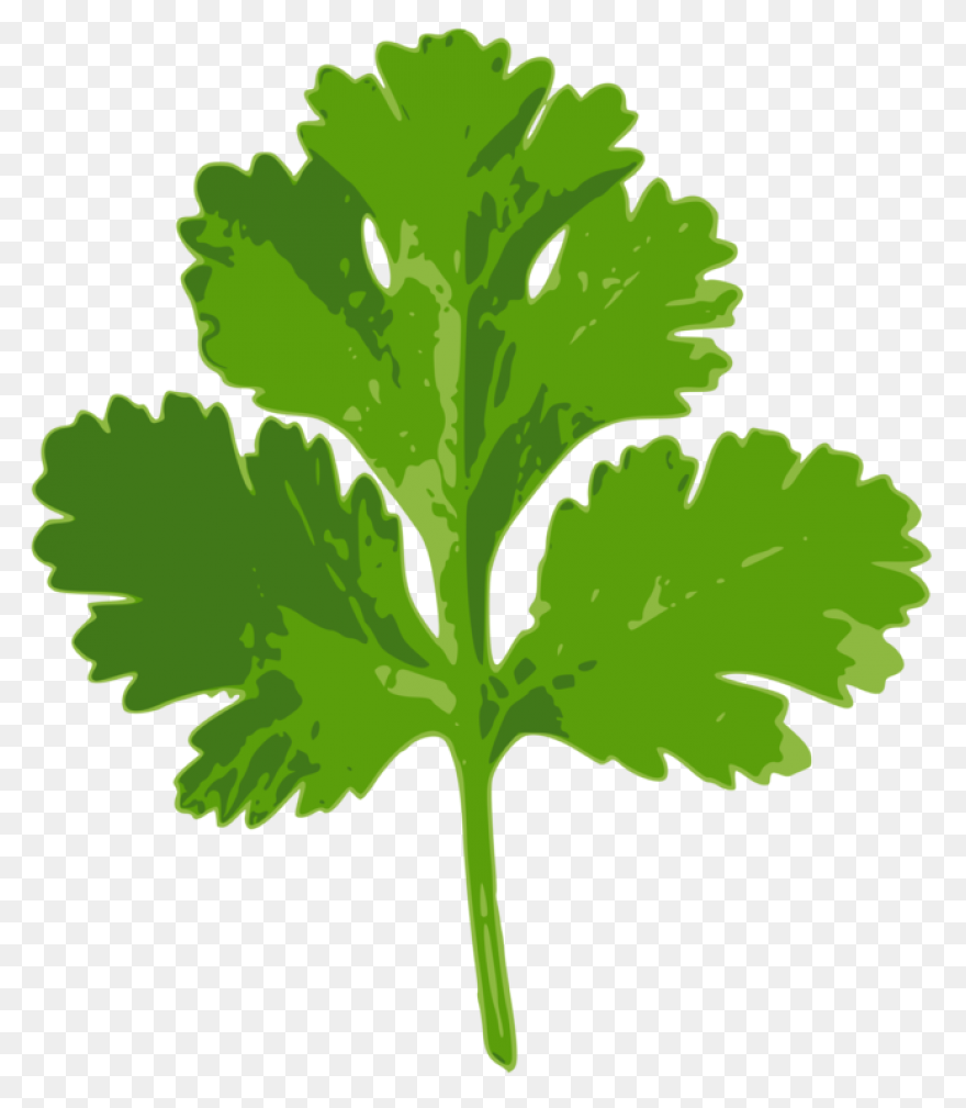 Parsley