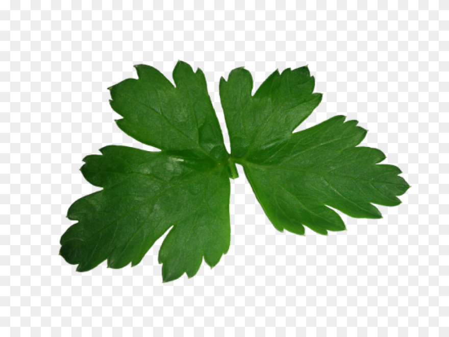 Parsley