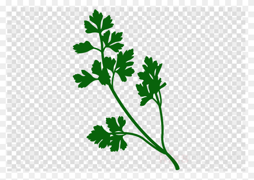 Parsley