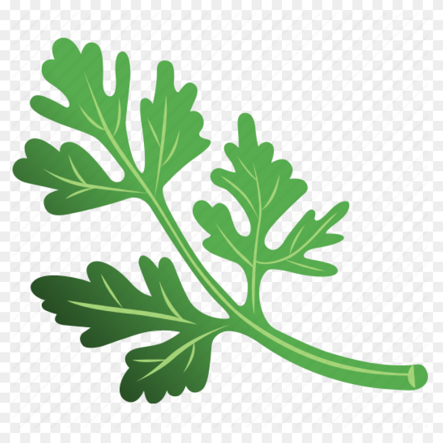 Parsley