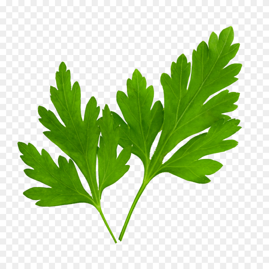 Parsley