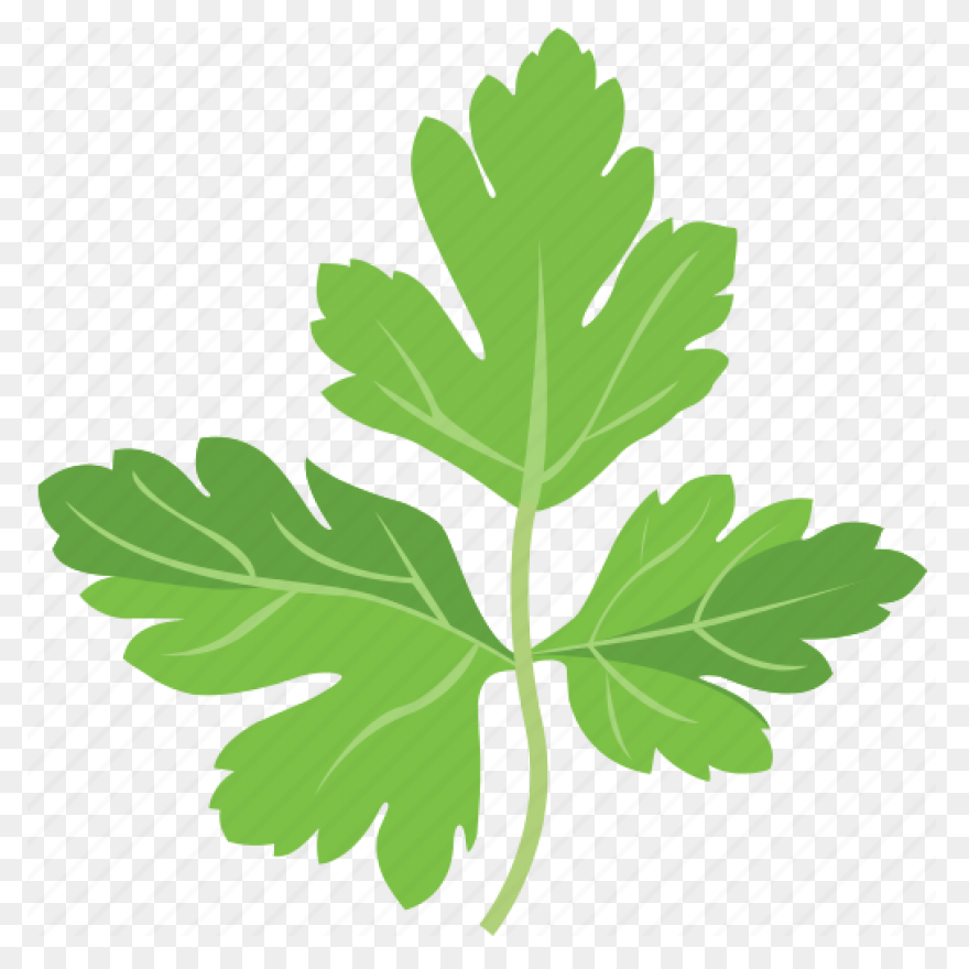 Parsley
