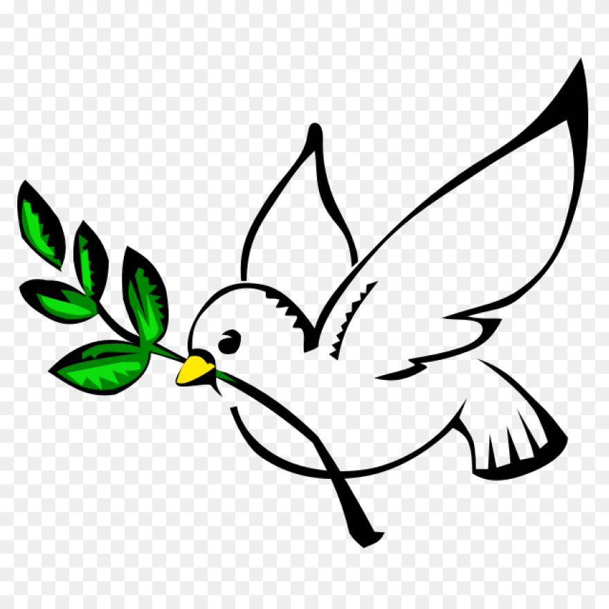 Paloma Colombia | Free PNG-WebP