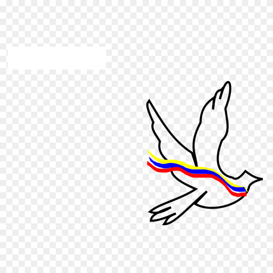 Paloma Colombia | Free PNG - Paloma