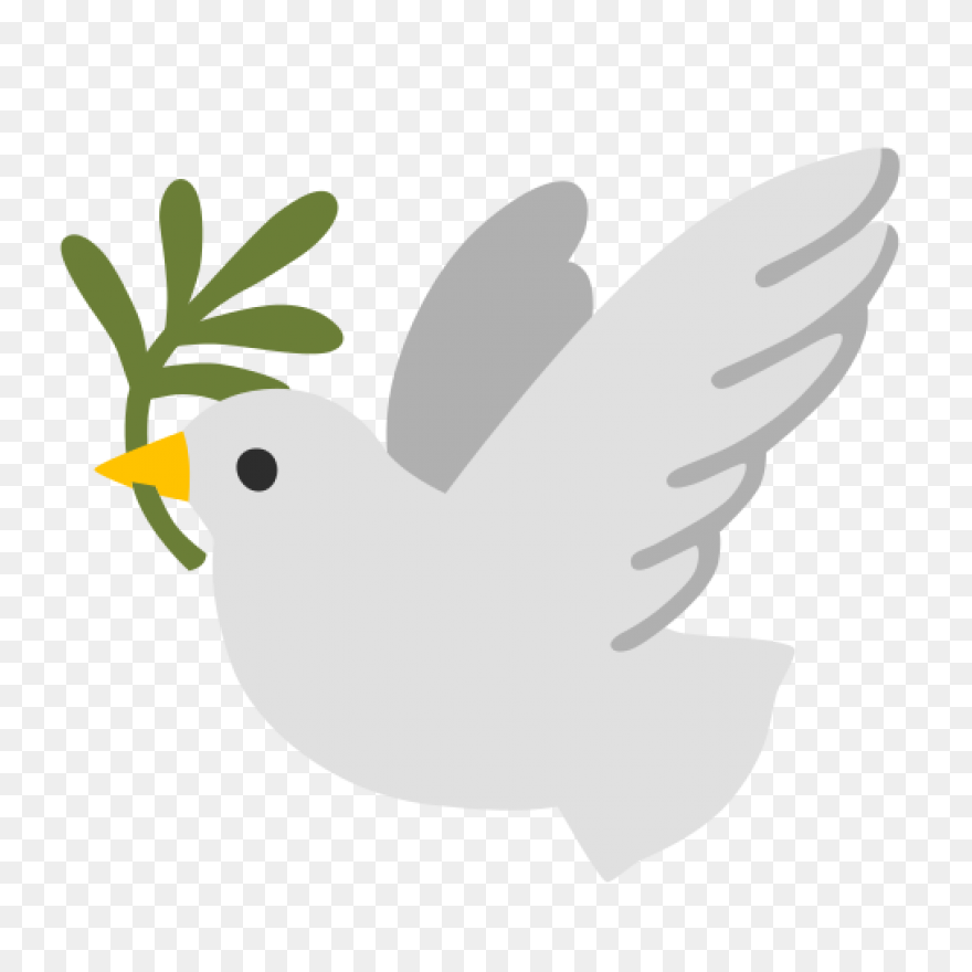 Paloma Colombia | Free PNG-WebP