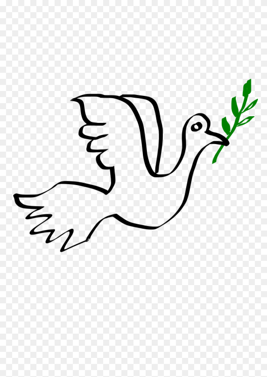 Paloma Colombia | Free PNG-WebP