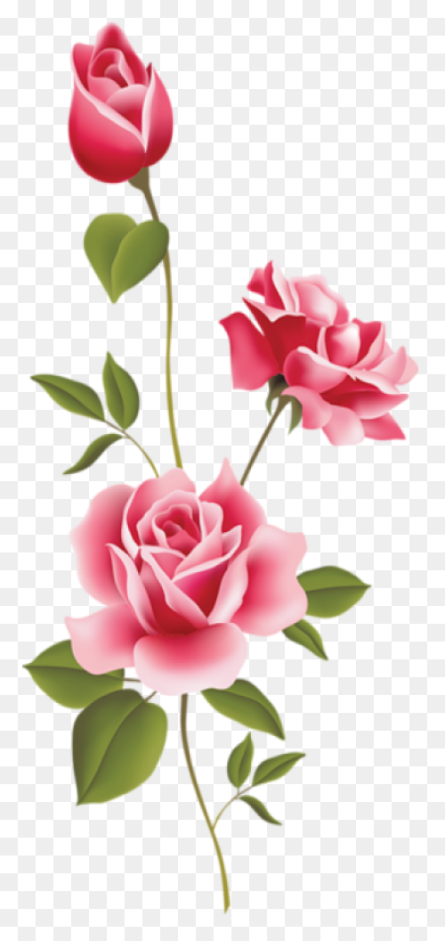 Flowers Set Illustration Pastel Col