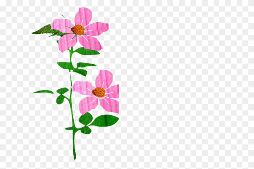 Flowers Set Illustration Pastel Col
