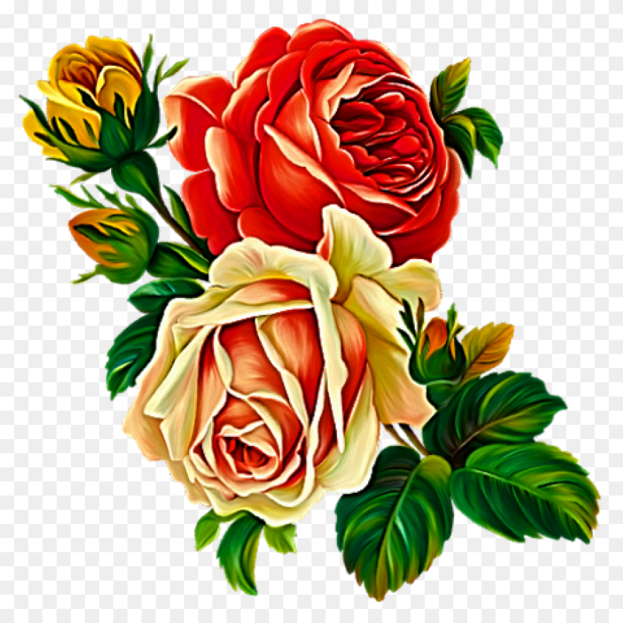 Flowers Set Illustration Pastel Col