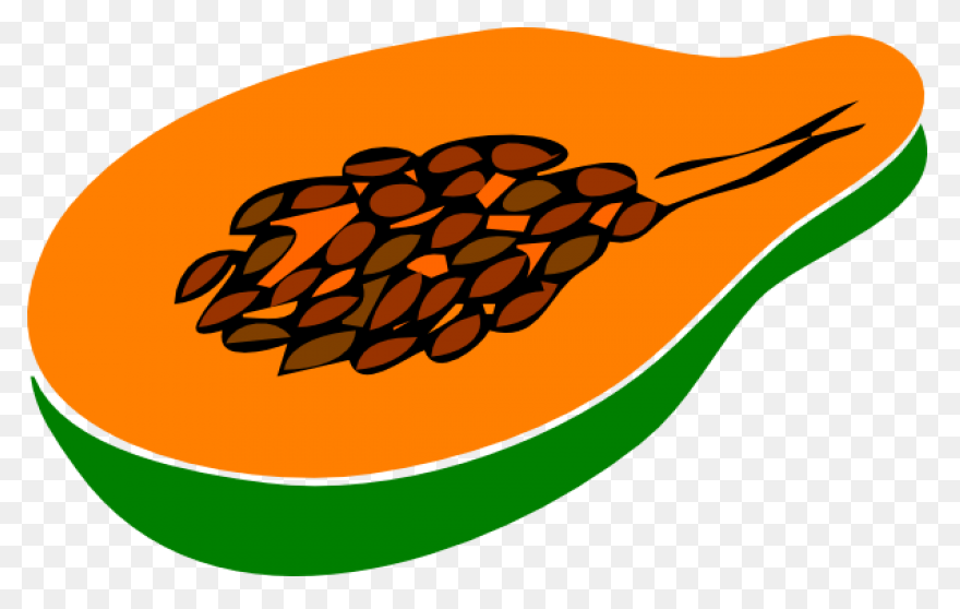 Papaya,fruit,vector,food,free Pictu