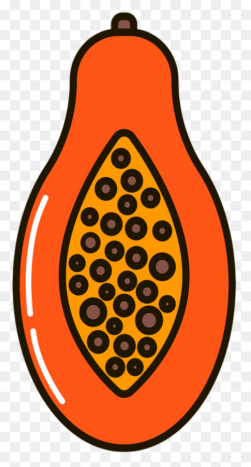 Papaya,fruit,vector,food,free Pictu