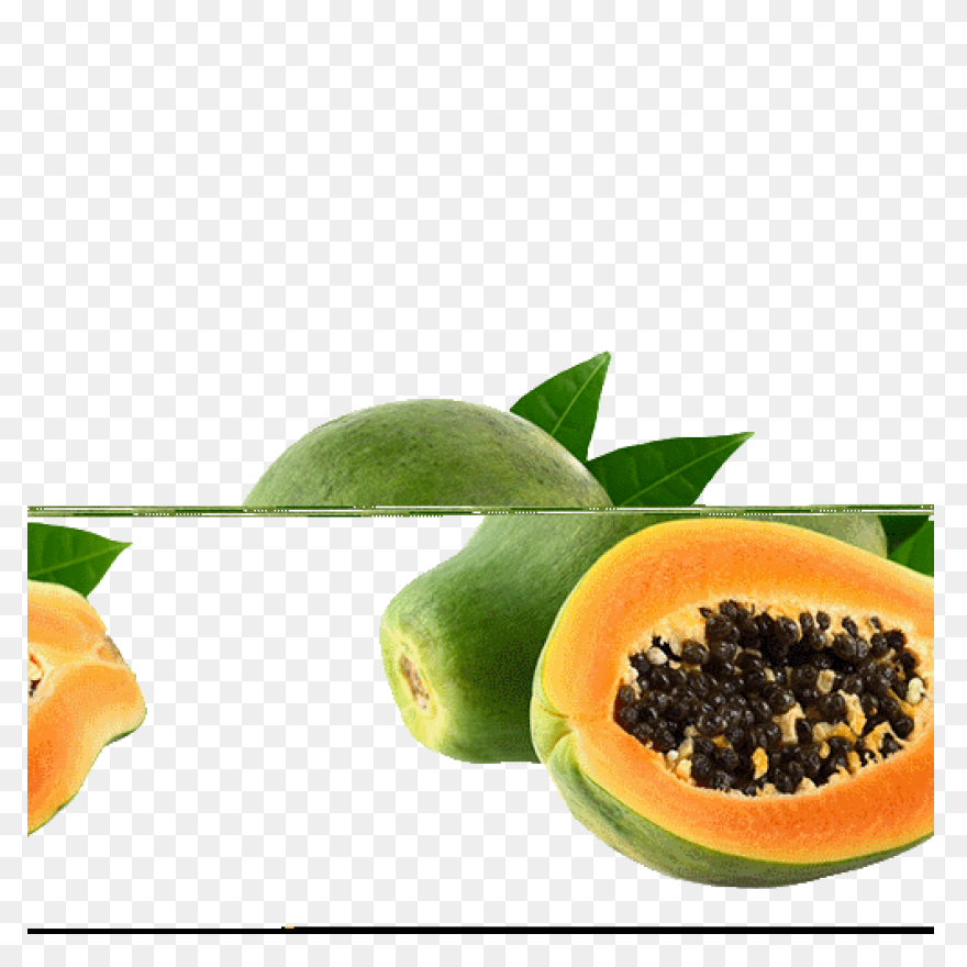 Papaya,fruit,vector,food,free Pictu