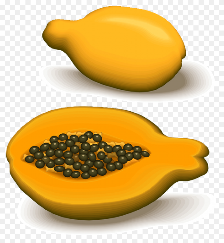 Papaya,fruit,vector,food,free Pictu