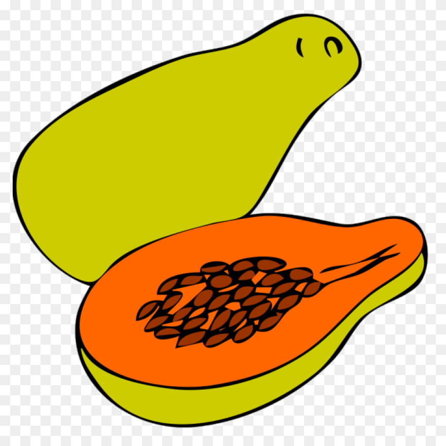 Papaya,fruit,vector,food,free Pictu
