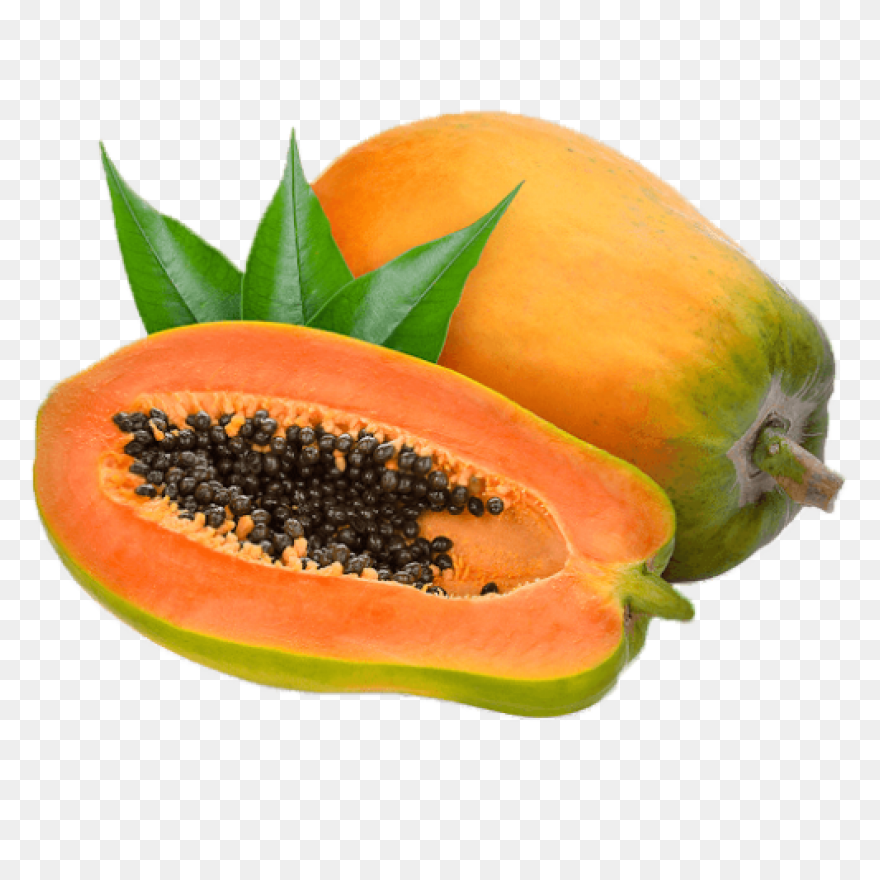Papaya,fruit,vector,food,free Pictu