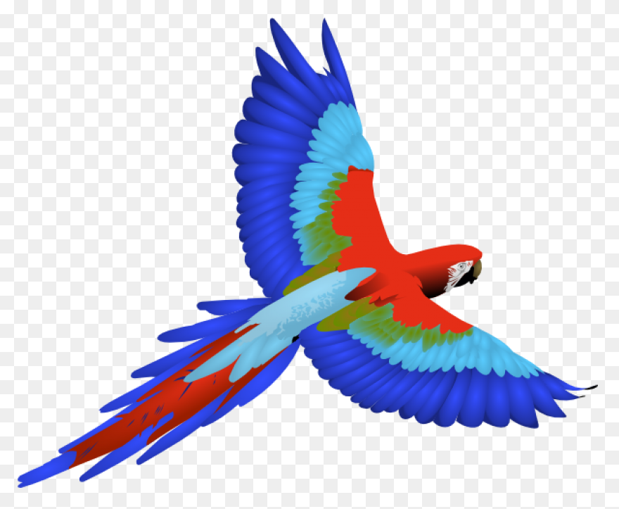 Parrot Clipart Mary Poppins - Parro
