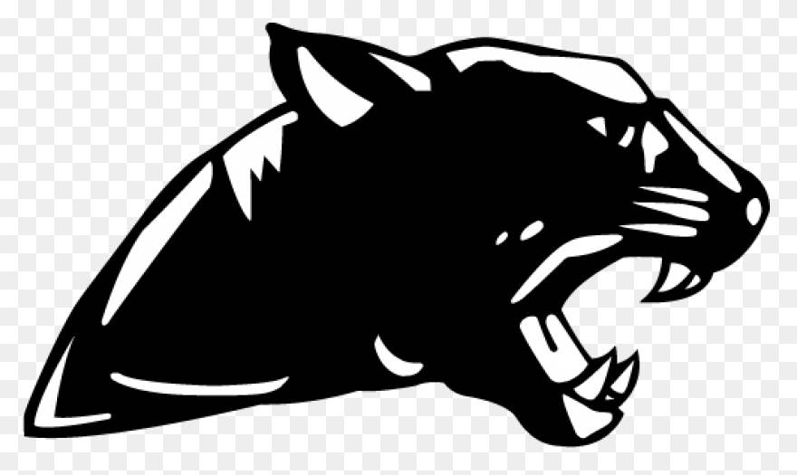 27 Panther Reference Ideas | - Panther