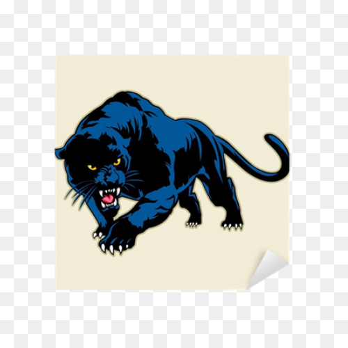 27 Panther Reference Ideas | Panthe
