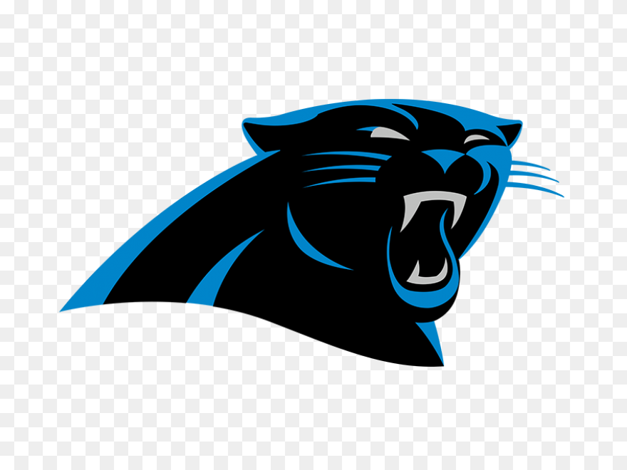 27 Panther Reference Ideas | Panthe