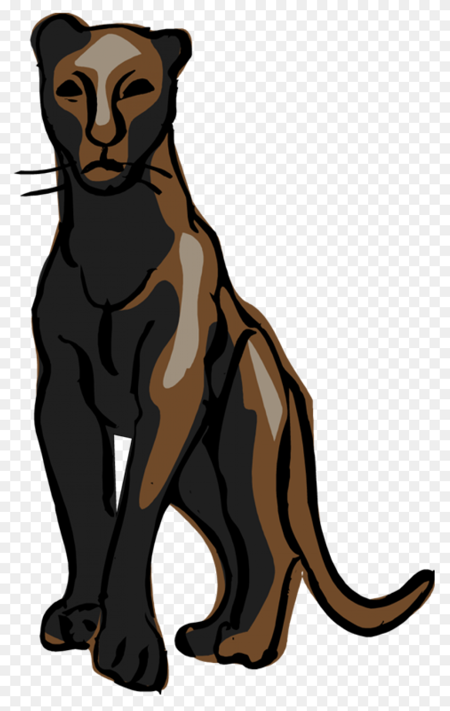 27 Panther Reference Ideas | Panthe