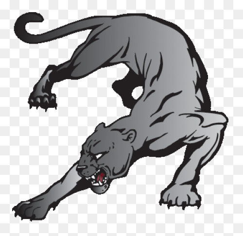 27 Panther Reference Ideas | Panthe